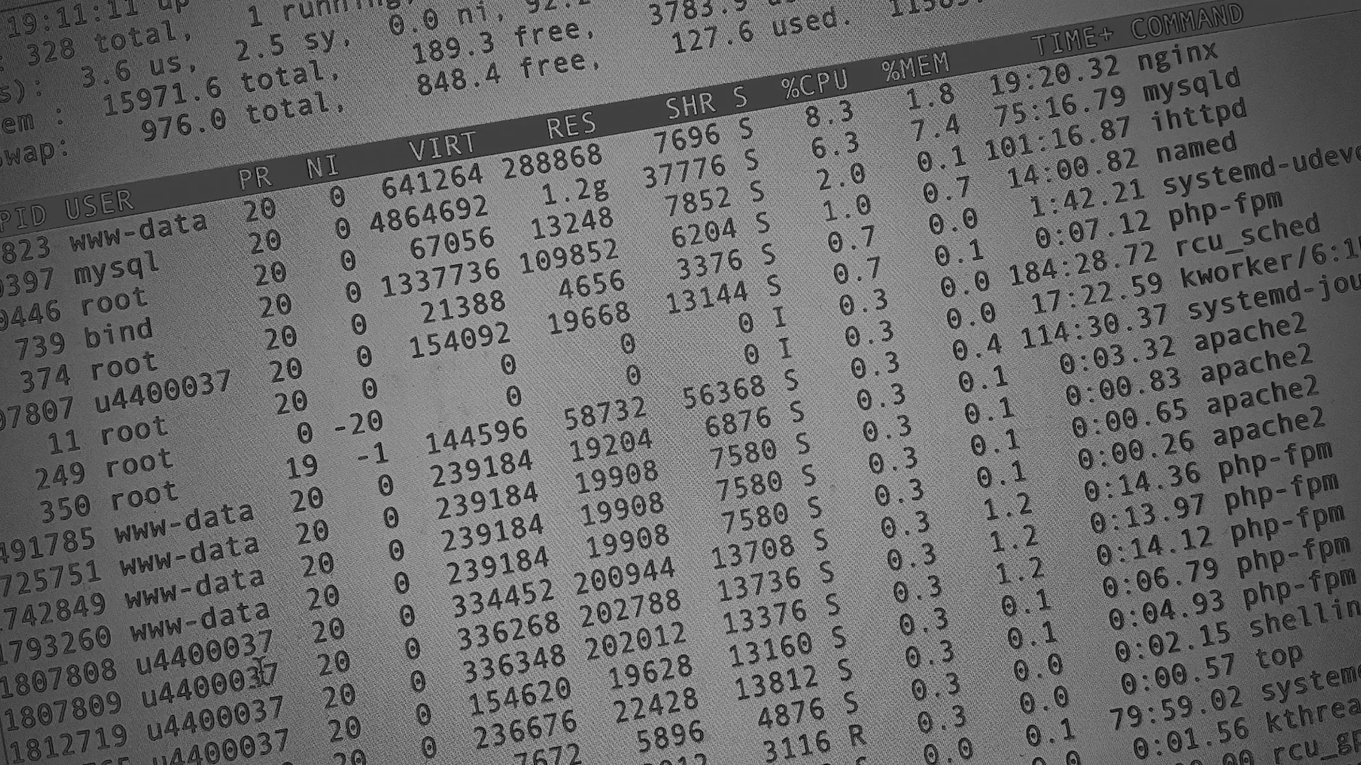 Настройка сервера в Перевозе