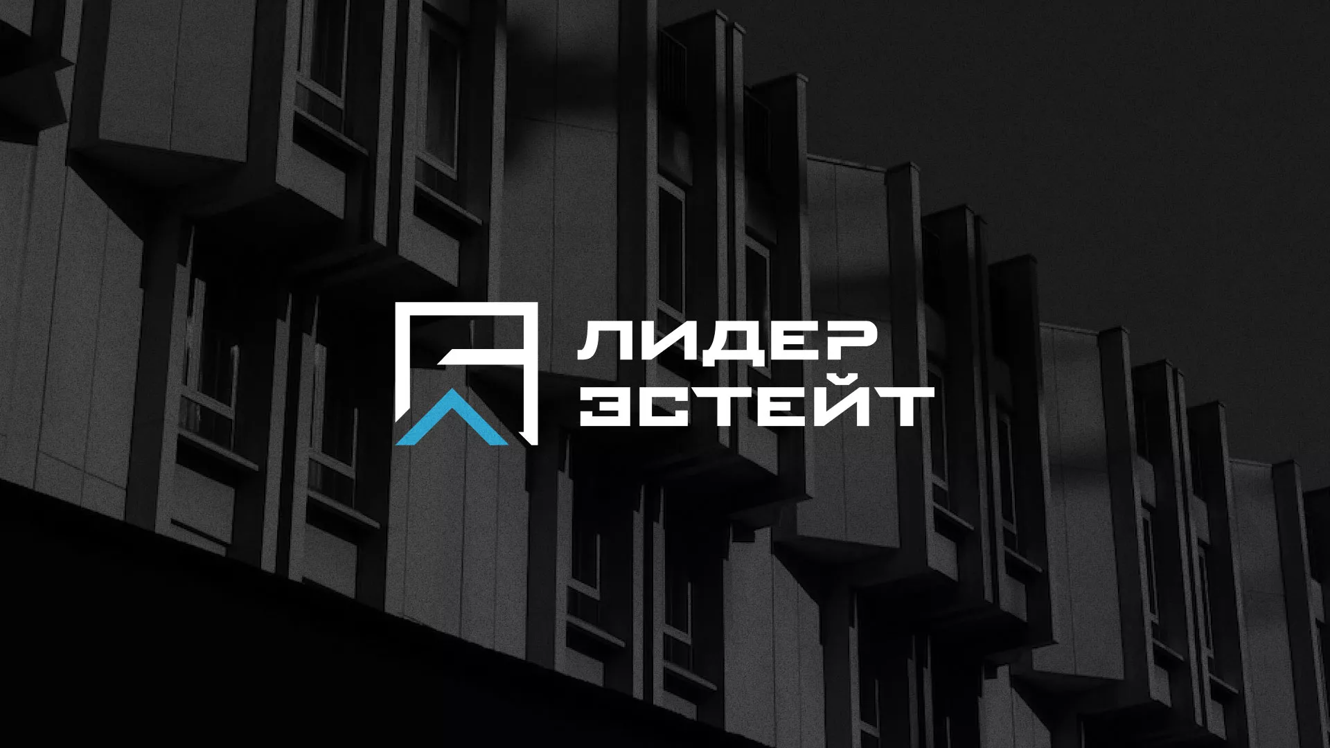 Разработка логотипа агентства недвижимости «Лидер Эстейт» в Перевозе
